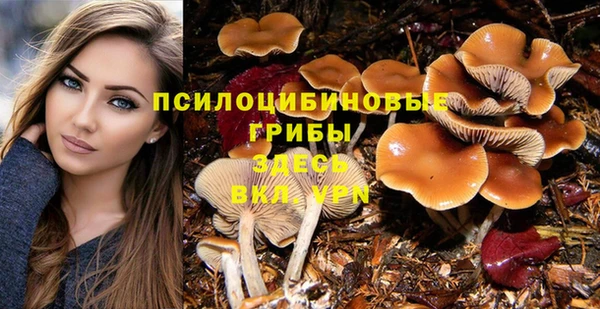соль курить ск Абаза