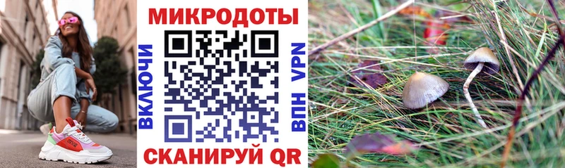 Галлюциногенные грибы ЛСД купить наркоту Нальчик